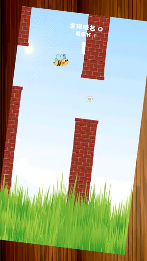 飞行的蜜蜂- 一只小蜜蜂的冒险之旅 高难度！