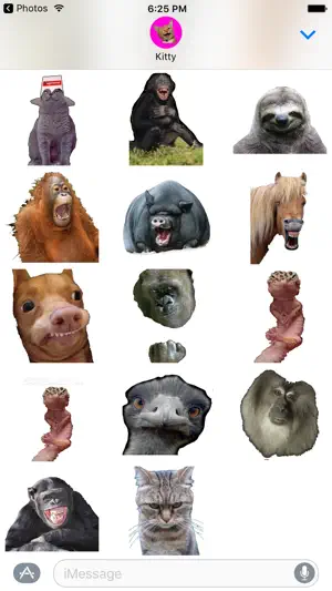 有趣的动物memes贴纸包为iMessage
