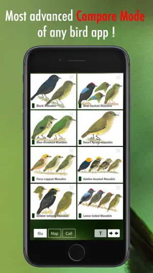 All Birds Venezuela - guide